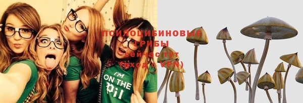 гашик Нея