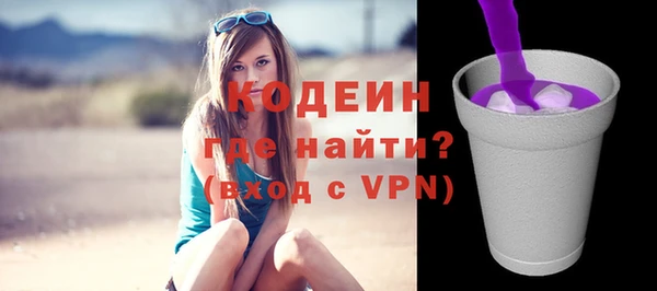 гашик Нея