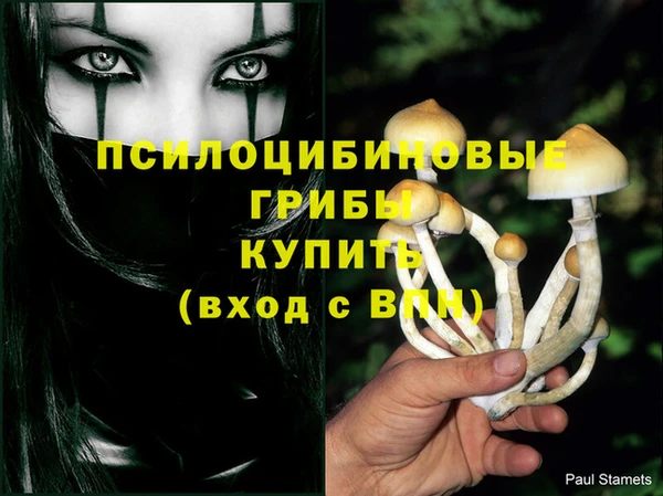 гашик Нея