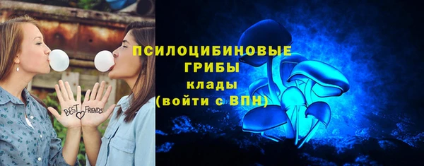 гашик Нея
