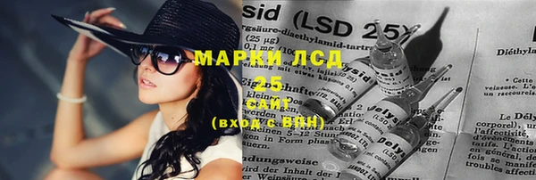 гашик Нея