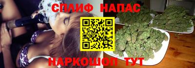 мяу мяу мука Ипатово