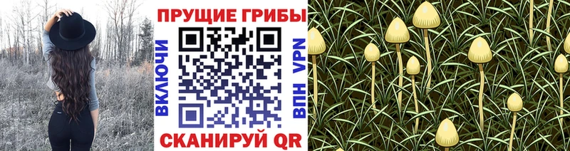 Псилоцибиновые грибы мухоморы  мега ссылка  Кириши 