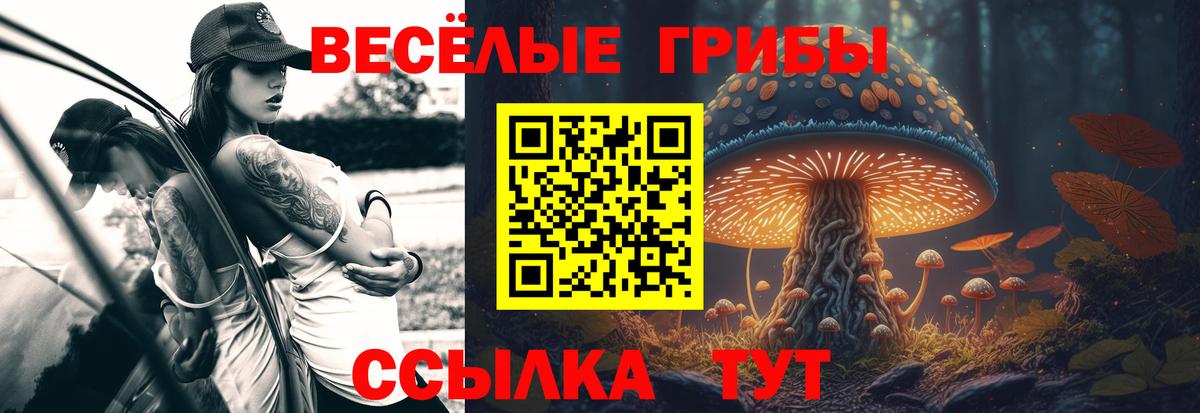 Псилоцибиновые грибы Psilocybe Кириши