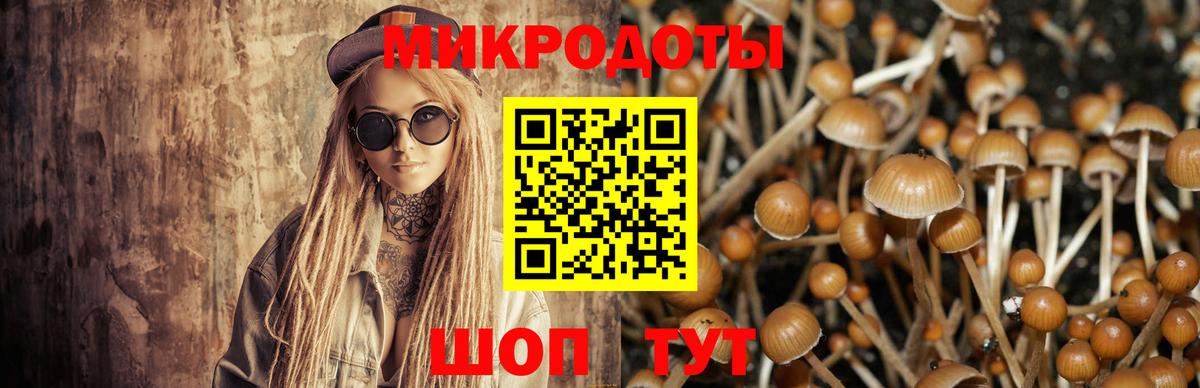 Кириши  Галлюциногенные грибы ЛСД  Вход с VPN 