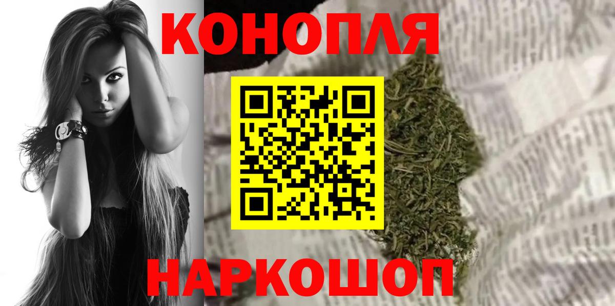 Бошки Шишки план Кириши